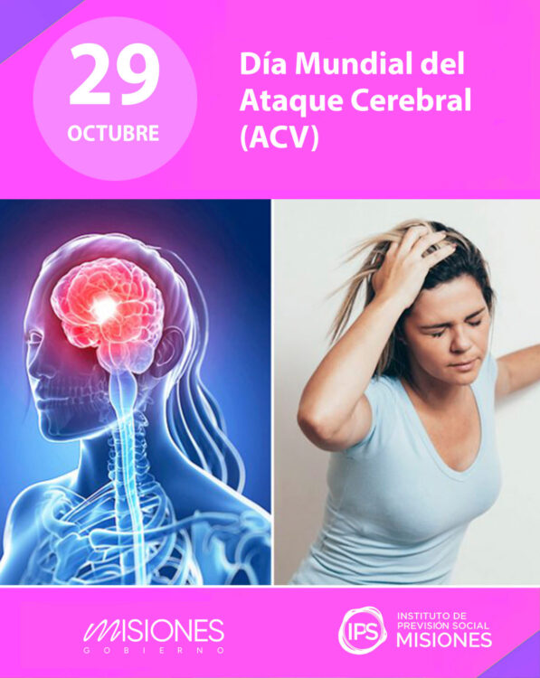 📒 🧠29 de octubre: Día Mundial del Accidente Cerebro Vascular (ACV)🧠 6 📒 🧠29 de octubre: Día Mundial del Accidente Cerebro Vascular (ACV)🧠 imagen-5