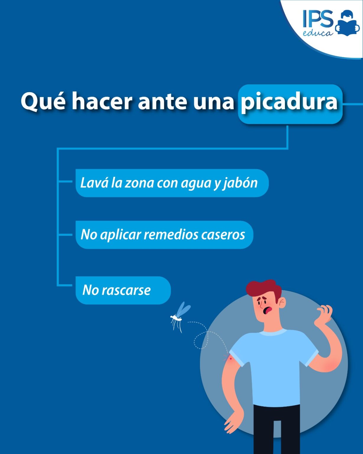 Picaduras de insectos 🦟 imagen-15