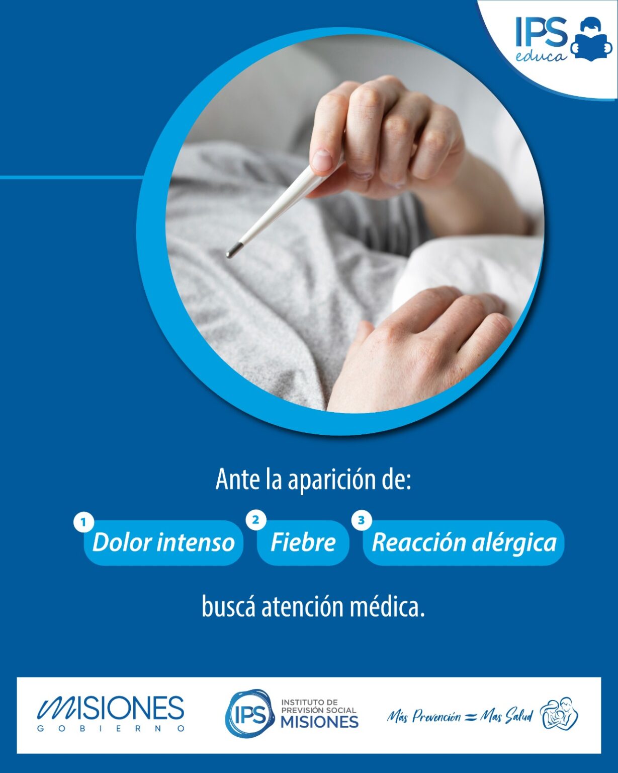 Picaduras de insectos 🦟 imagen-11