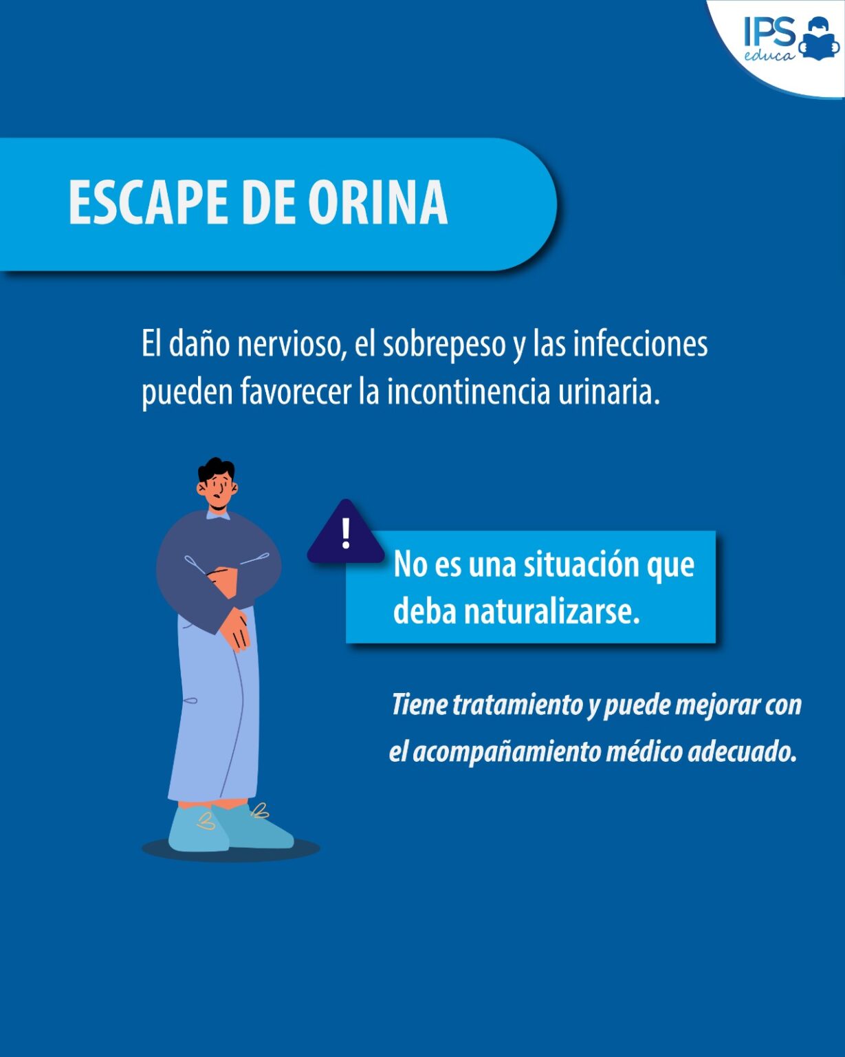 - IPS 21 - IPS imagen-20