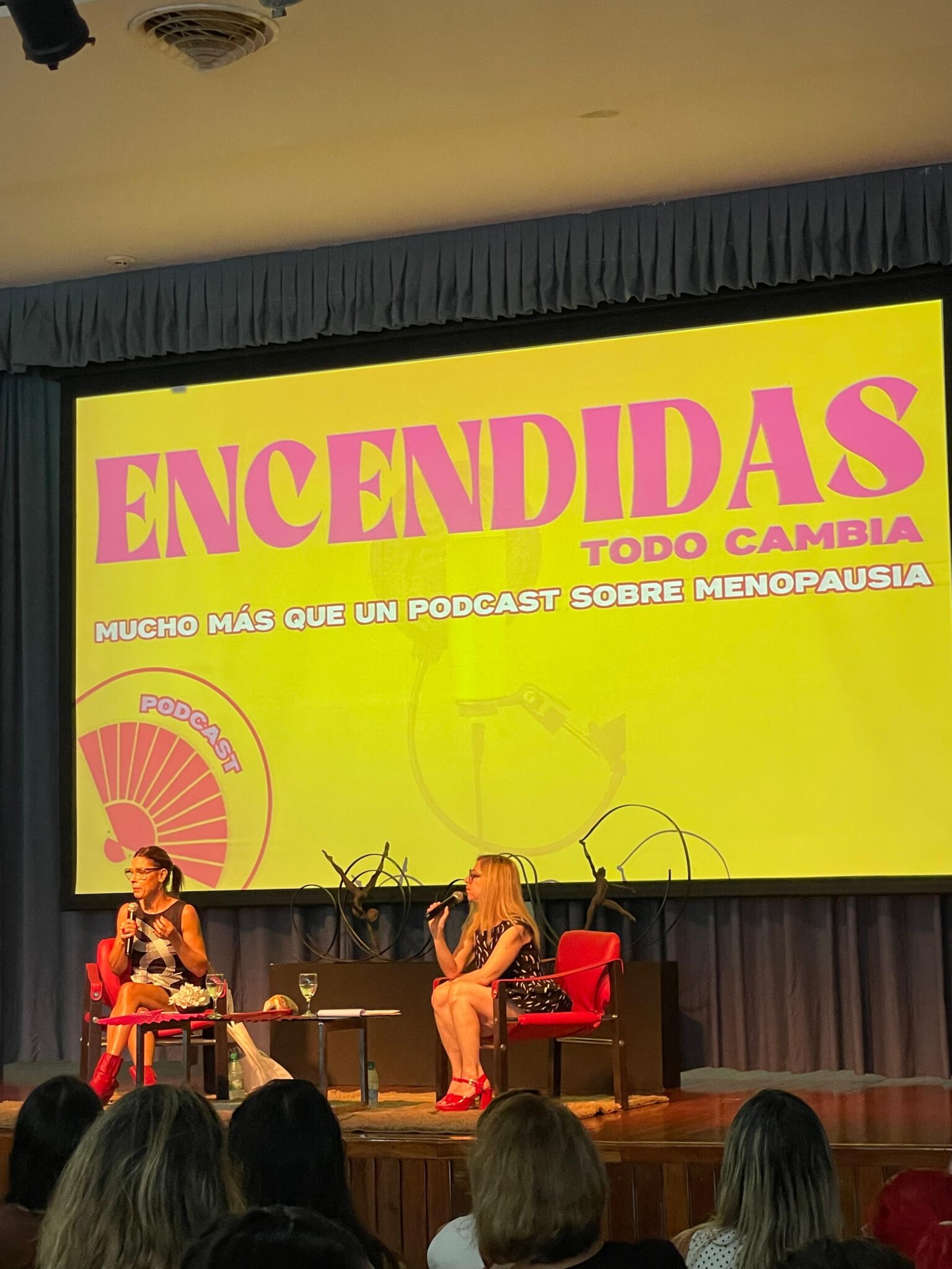 Este viernes se llevó a cabo una jornada sobre menopausia y climaterio en Misiones imagen-32