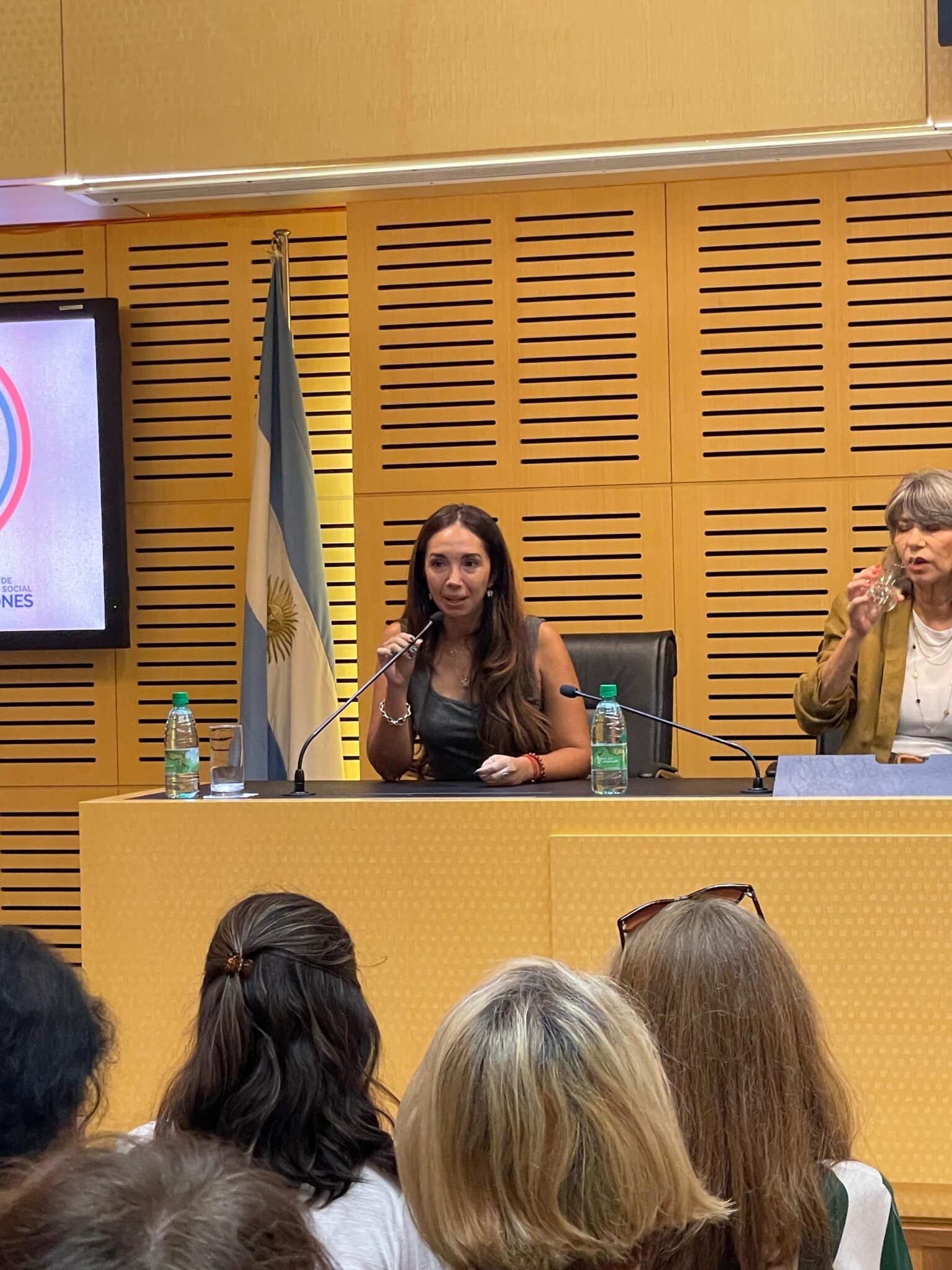 Este viernes se llevó a cabo una jornada sobre menopausia y climaterio en Misiones imagen-20