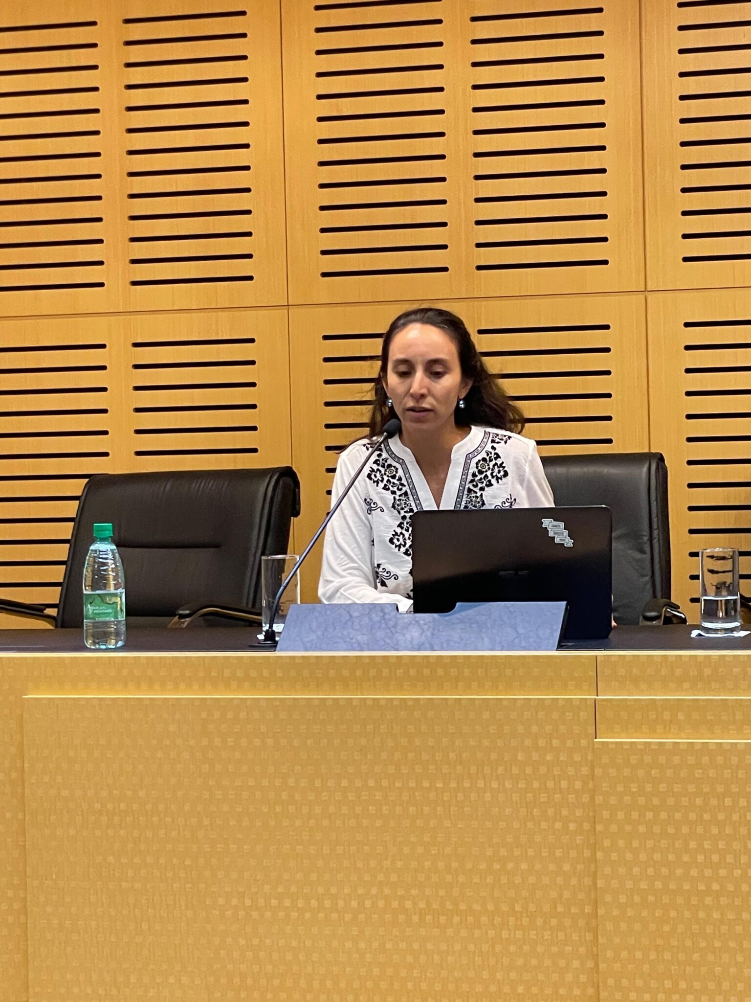 Este viernes se llevó a cabo una jornada sobre menopausia y climaterio en Misiones imagen-16