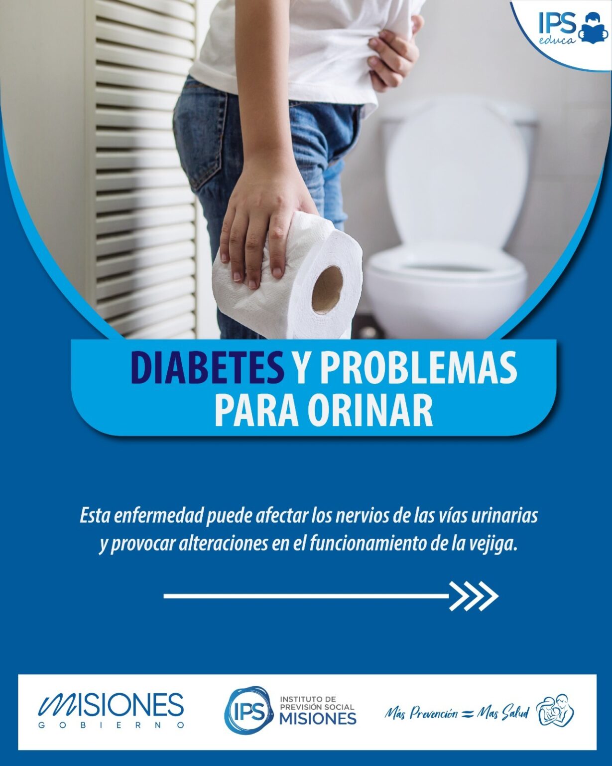 IPS EDUCA 12 IPS EDUCA imagen-11