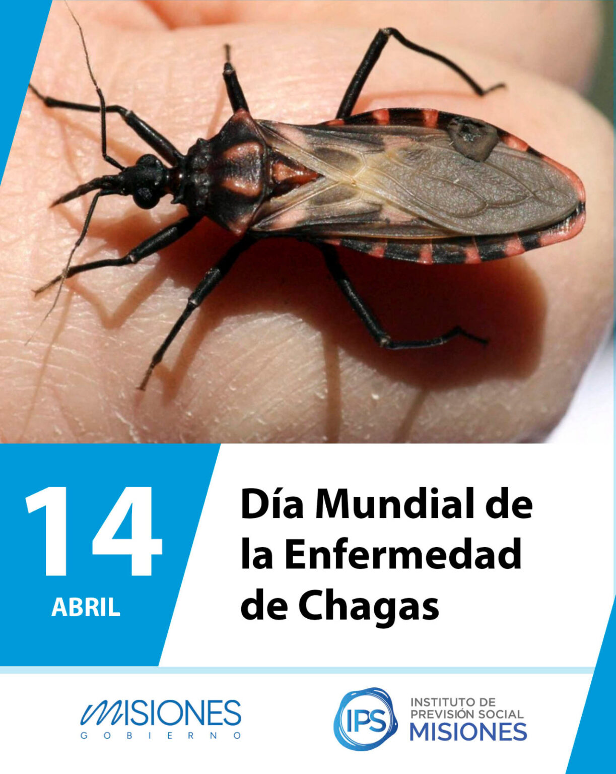 📒🧫14 de abril: Día Mundial de la Enfermedad de Chagas🦠 imagen-8