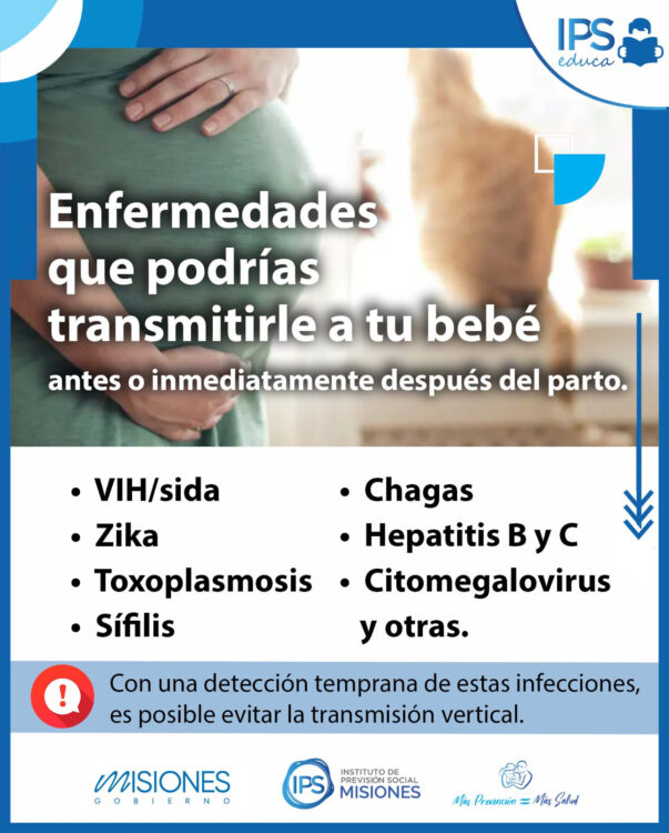 𝗜𝗣𝗦 𝗘𝗗𝗨𝗖𝗔 imagen-6