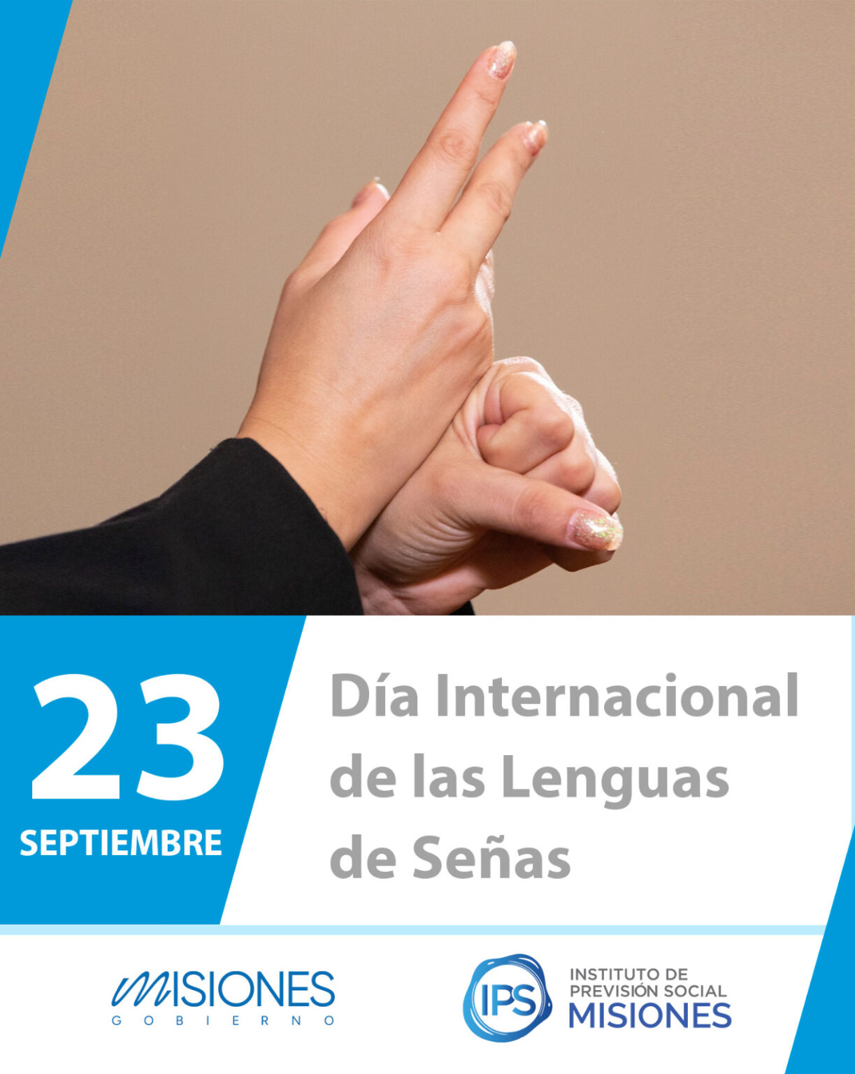 📒🙌🏻 23 de septiembre | Día Internacional de Las Lenguas de Señas 9 📒🙌🏻 23 de septiembre | Día Internacional de Las Lenguas de Señas imagen-8