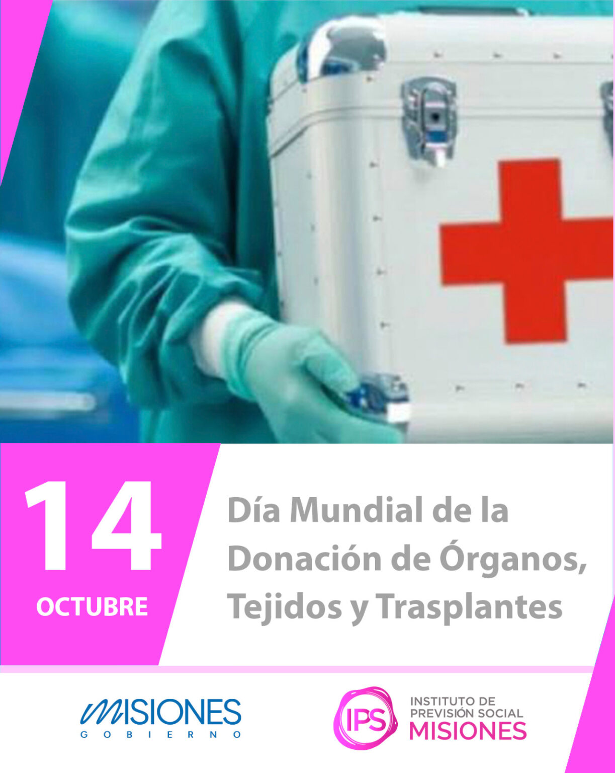 馃挌 馃搾14 de octubre | D铆a Mundial de la Donaci贸n de 脫rganos, Tejidos y Trasplantes 9 馃挌 馃搾14 de octubre | D铆a Mundial de la Donaci贸n de 脫rganos, Tejidos y Trasplantes imagen-8